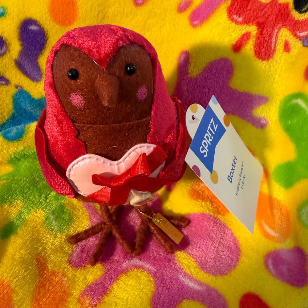 NWT Spritz Colorful Valentine’s Owl Decor: BOXTER